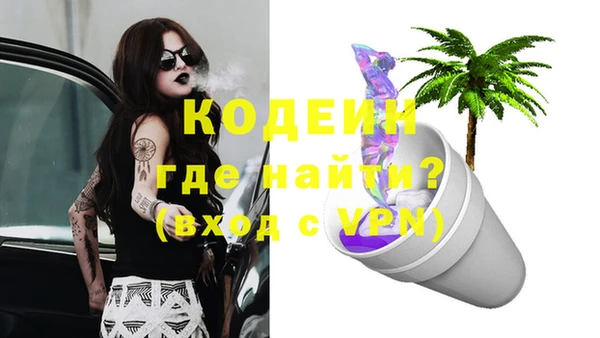 дживик Белокуриха
