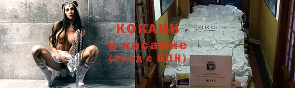 дживик Белокуриха