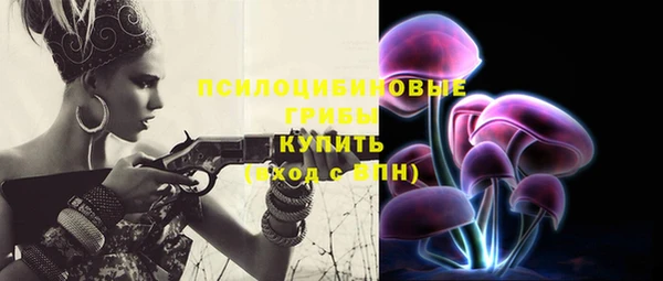 apvp Белоозёрский