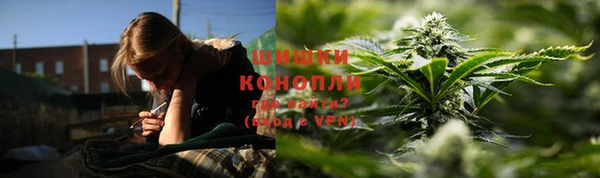 дживик Белокуриха