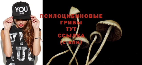 дживик Белокуриха