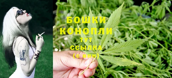 дживик Белокуриха