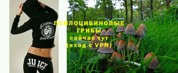 дживик Белокуриха