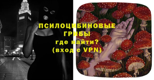прущие грибы Семилуки