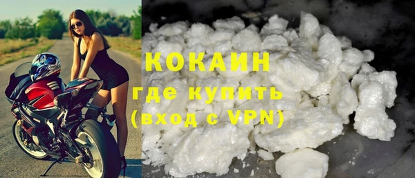 дживик Белокуриха