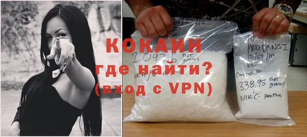 дживик Белокуриха