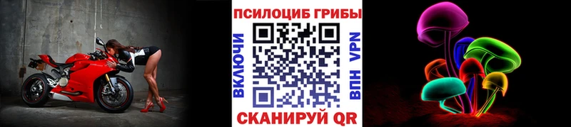 Галлюциногенные грибы Psilocybe  купить наркотик  Кстово 